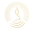 Museum Hotel